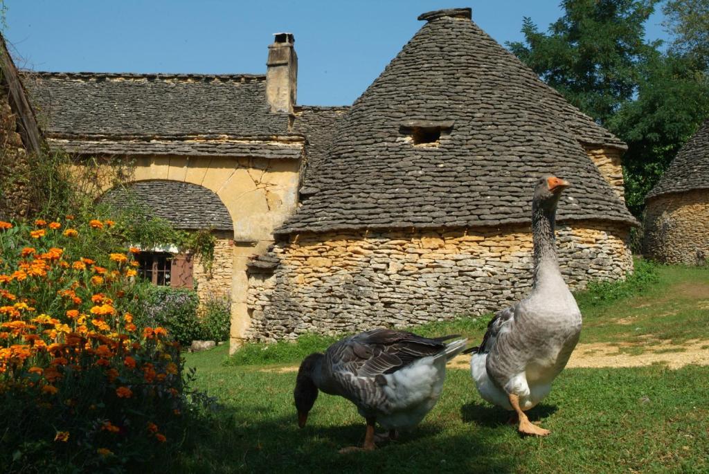 Madame Vacances - Residence Du Golf D'Armagnac Оза Номер фото